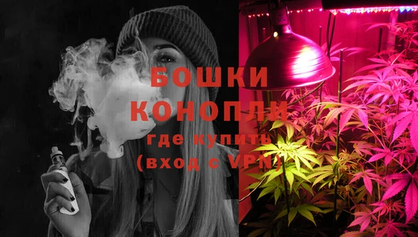 меф Пересвет