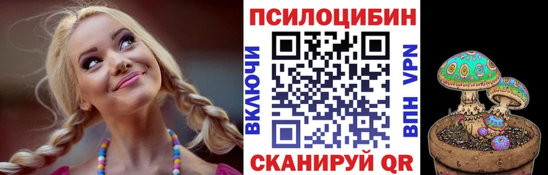 kraken зеркало  Чкаловск  Галлюциногенные грибы Psilocybine cubensis 